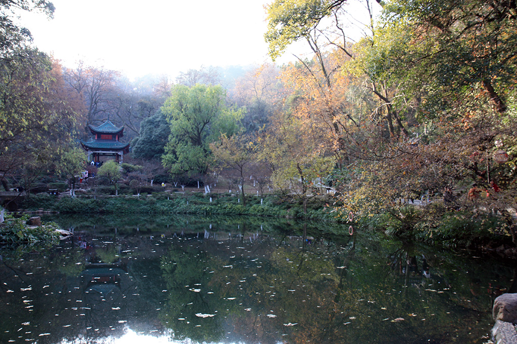 Yue Lu Aiwan Pond