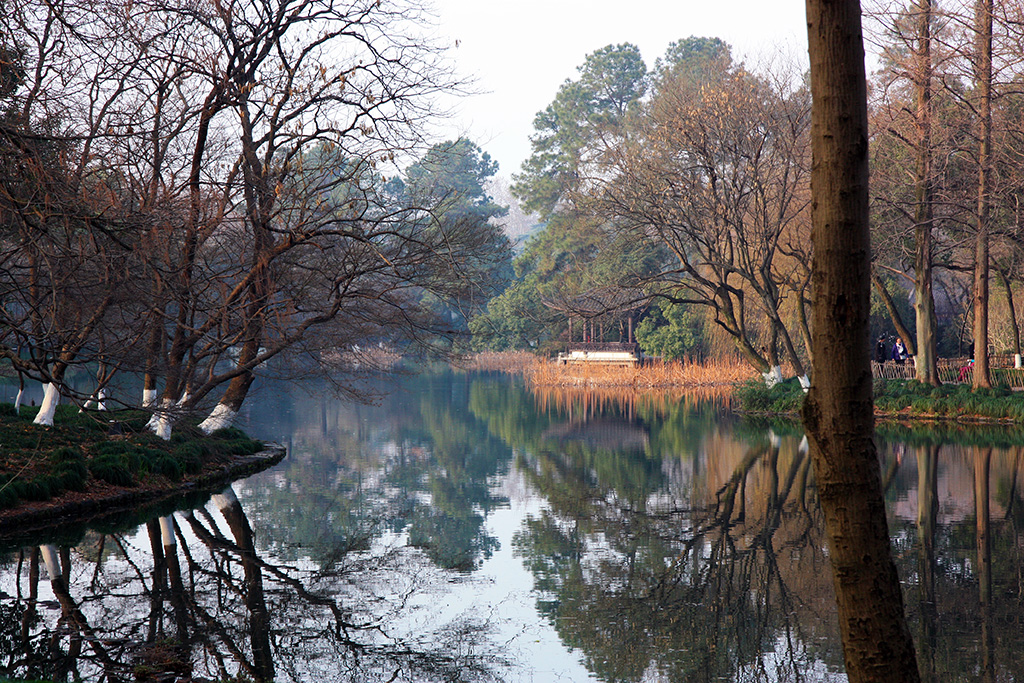 Hangzhou Reflections