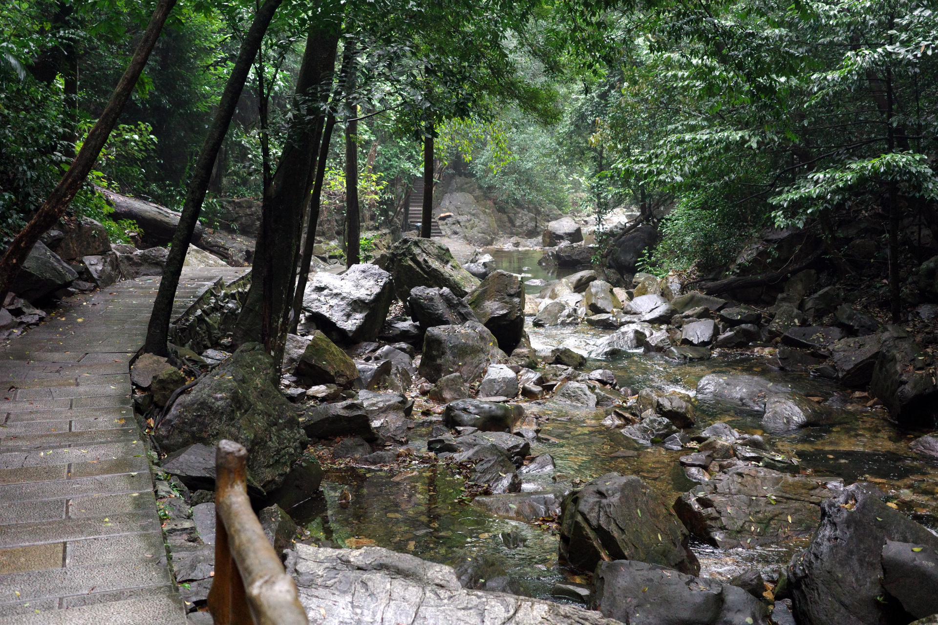 A creek seen while descending the mountain