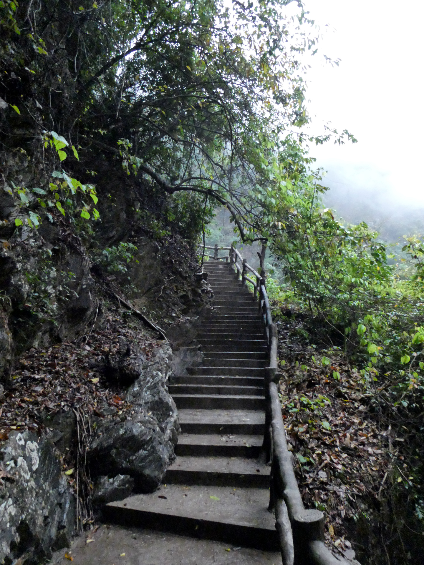 Stairs ascending Dinghu Shan