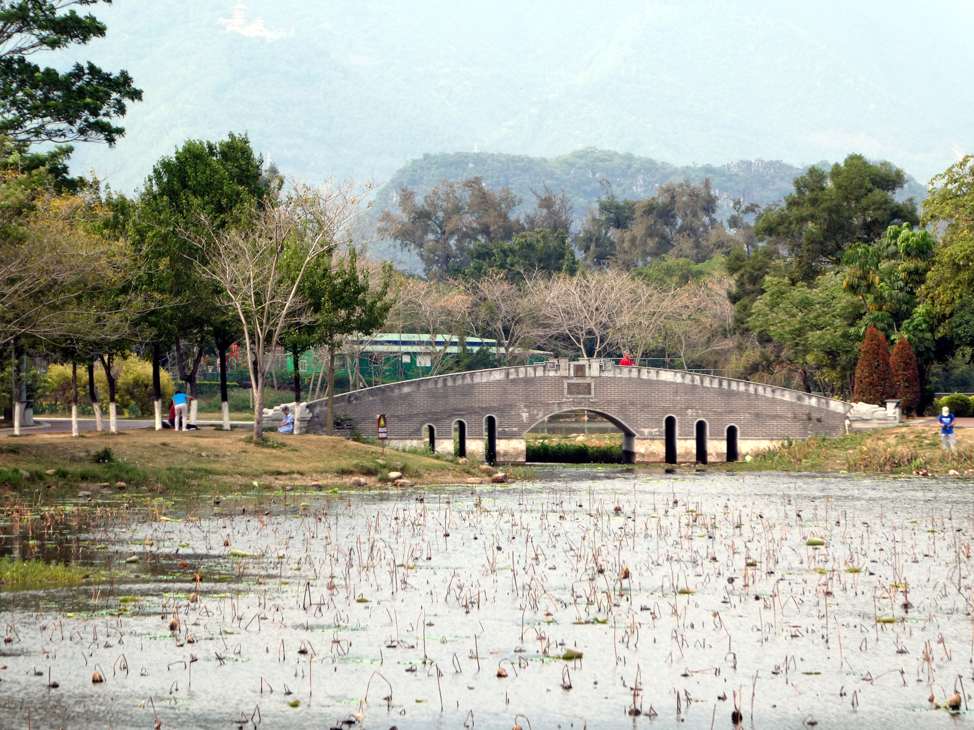 A bridge in Paifang Park