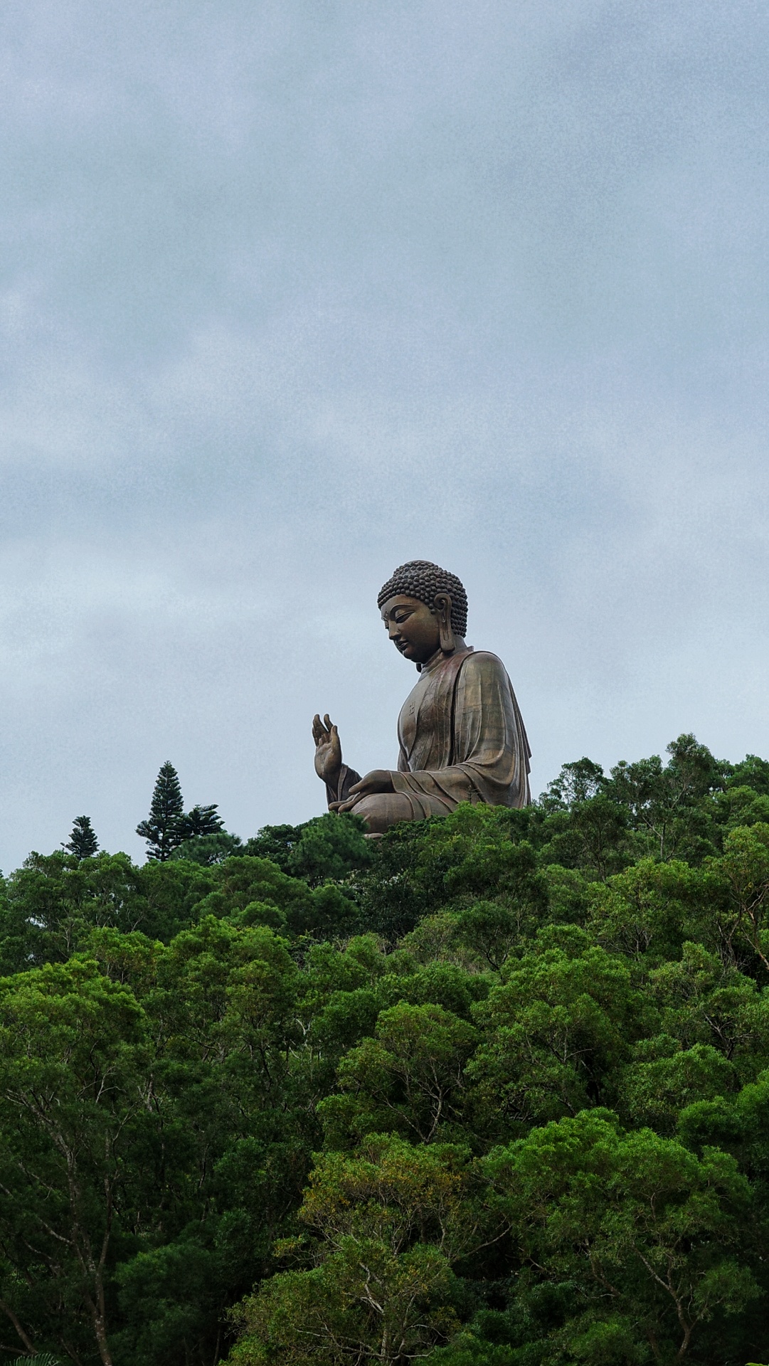 Buddha from a distance